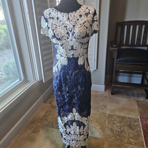 Navy and White Lace Dress